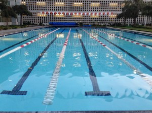 Oracle Swimming Pool on Thursday night. Empty!