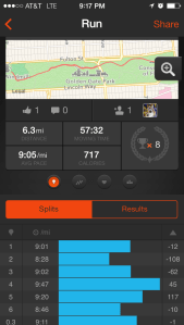 Strava run output