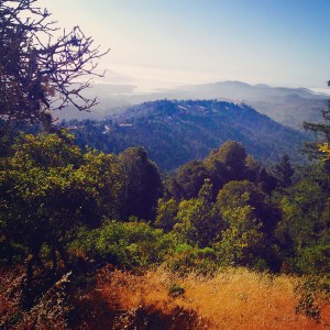 View from Mt. Tam