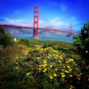 Golden Gate Bridge from my run on Sunday