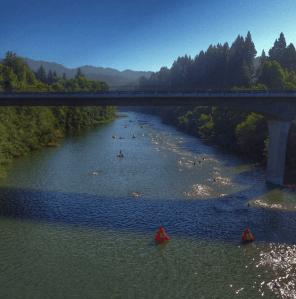 Swim in the Russian River