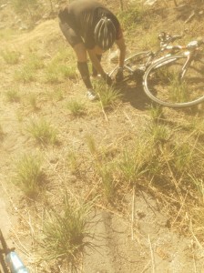 Jesse assessing the damage