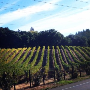 Photo Oct 11, 10 18 59 AM