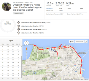 Strava run output