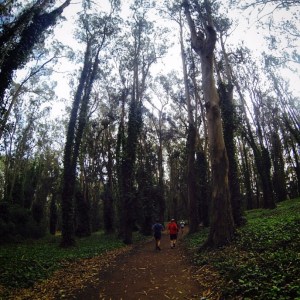 The Presidio is gorgeous this time of year 