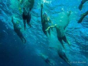 Swimmers. Photo credit: ironman.com